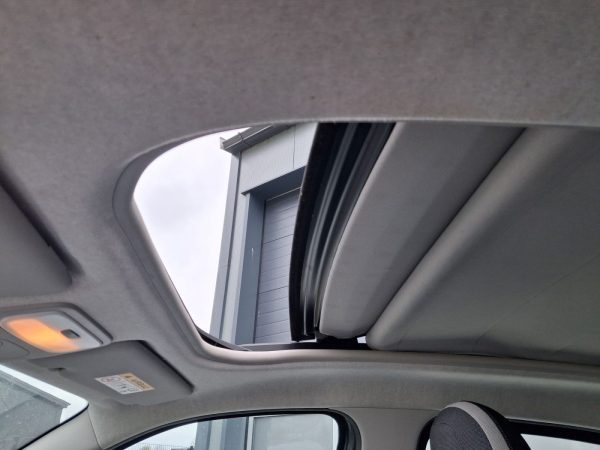 Twingo-19